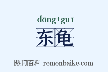 东龟是什么意思的图片